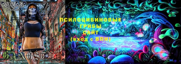 ешки Богородск
